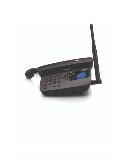 Téléphone SIM  FW200L